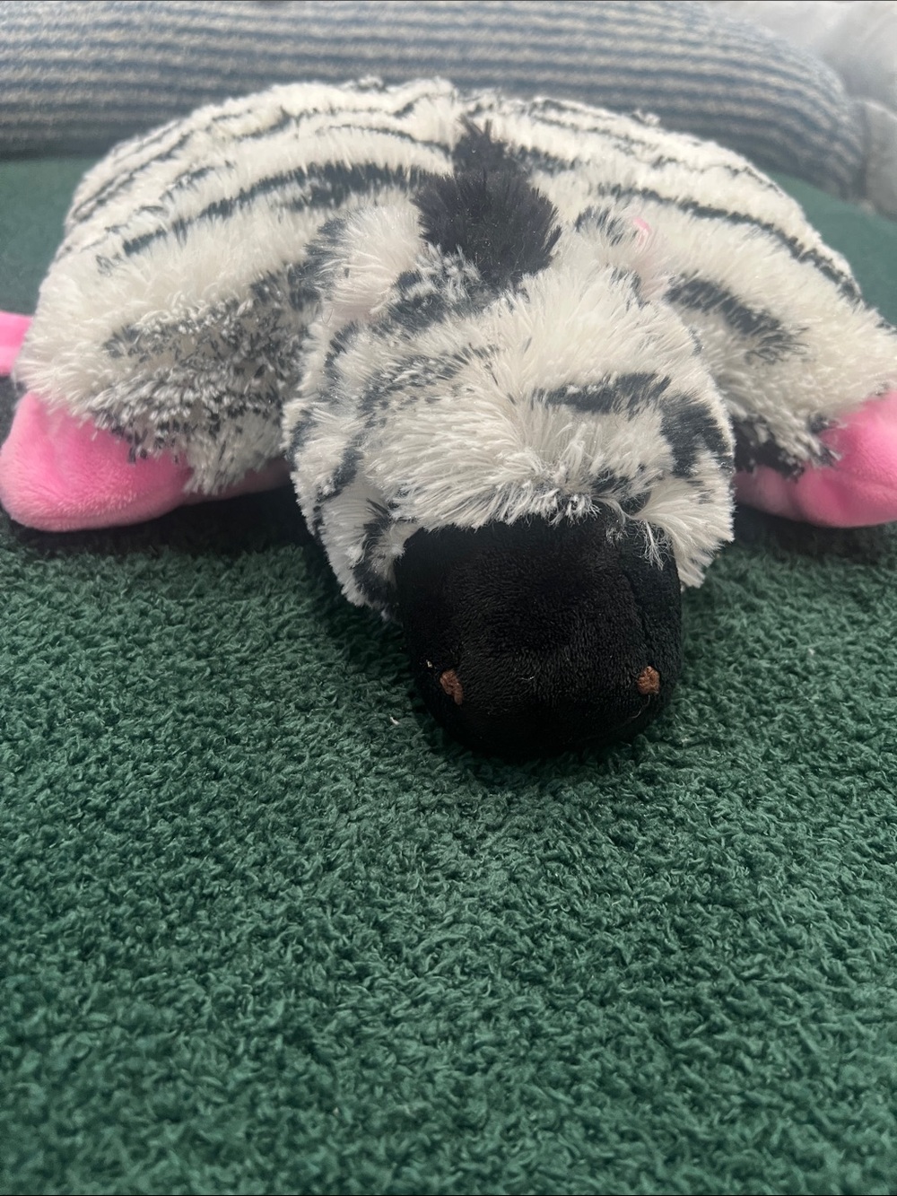 Pillow pet